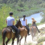 Santa Ponsa horse back riding